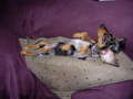 Danby & Payton