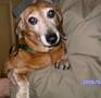 Molly